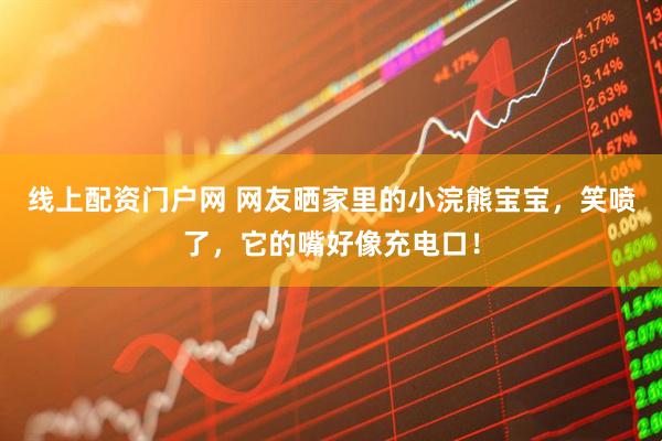 线上配资门户网 网友晒家里的小浣熊宝宝，笑喷了，它的嘴好像充电口！
